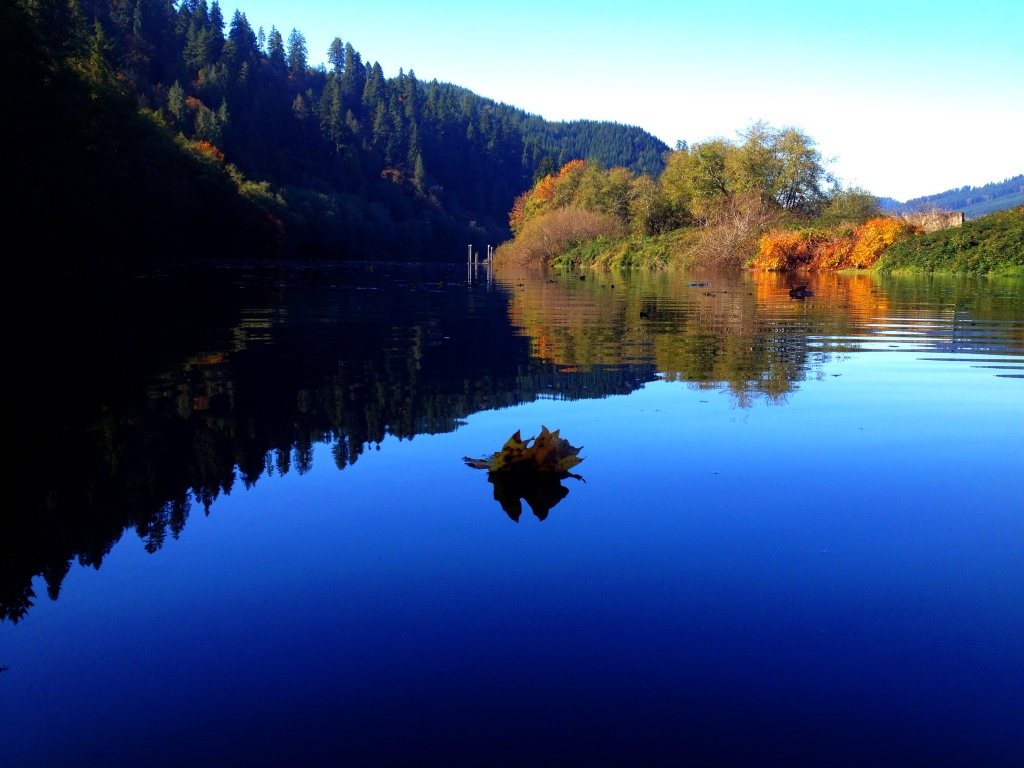 A lone leaf floats down the Siuslaw River...
